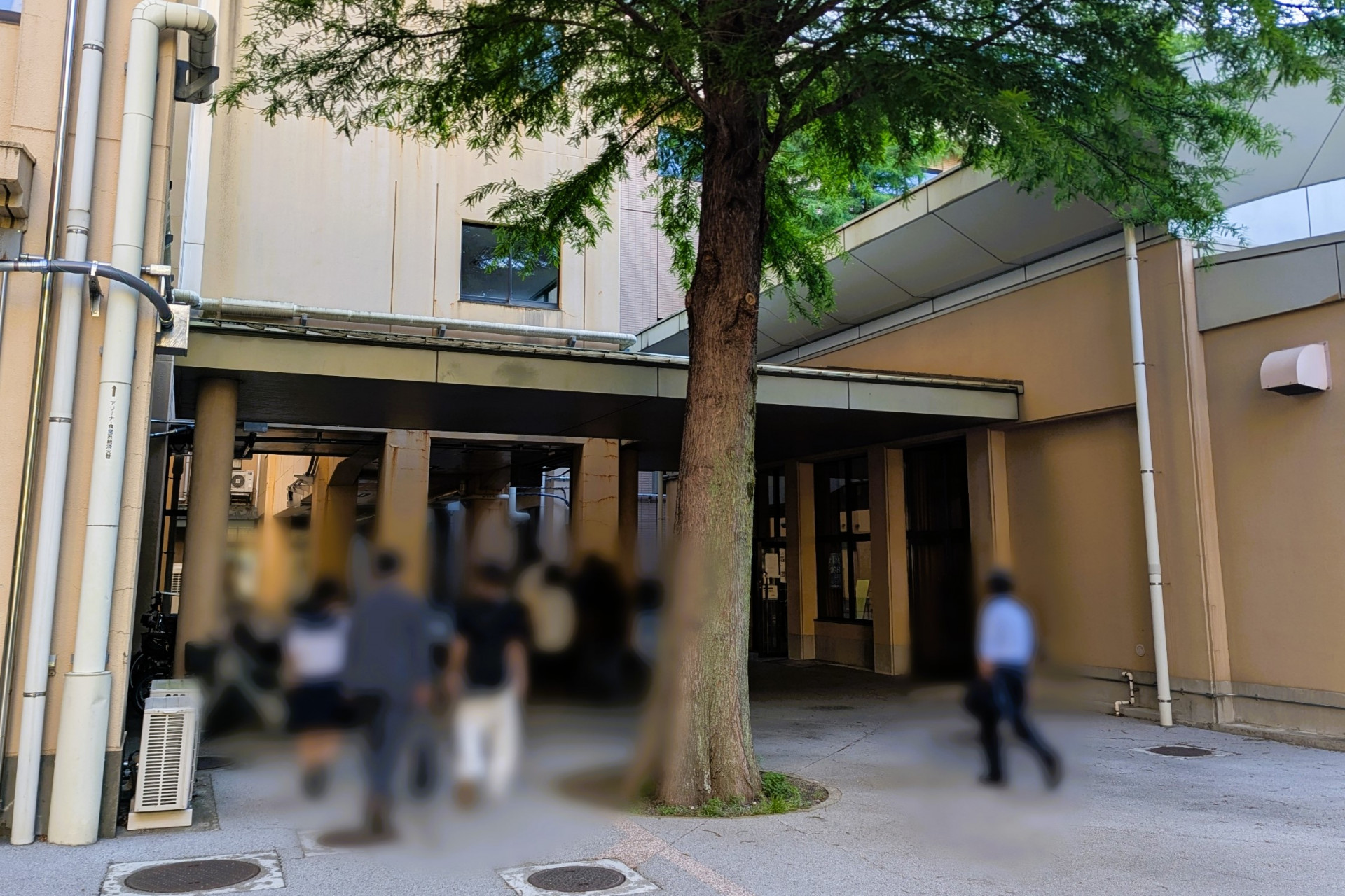 Point Blur_20250605_171957